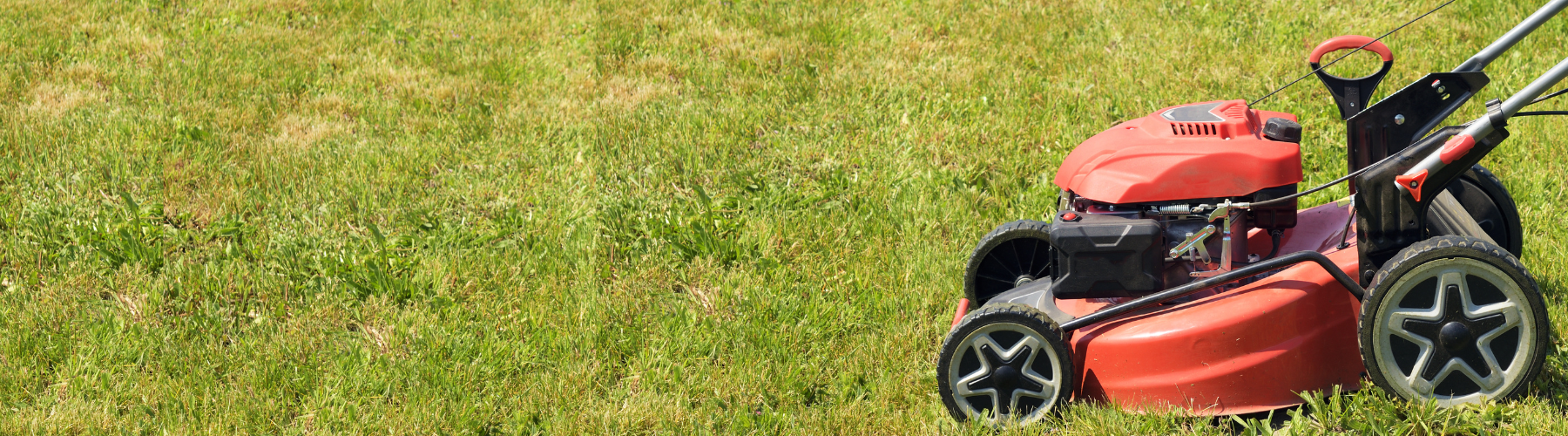 A red lawnmower on a grass lawn background.