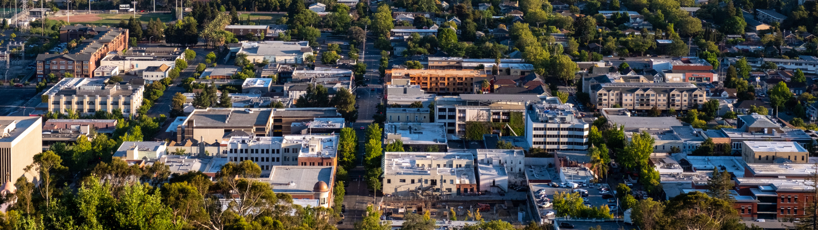 Buildings dot the landscape in this picture of a city's downtown core. 