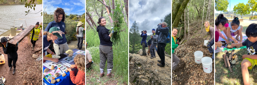 A collage of 5 images showing volunteers carrying wood, engaging in learning activities, pulling invasive broom, observing wildlife and performing trail work