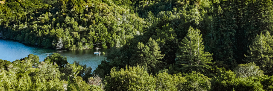 Aerial image of tree-lined reservoir.