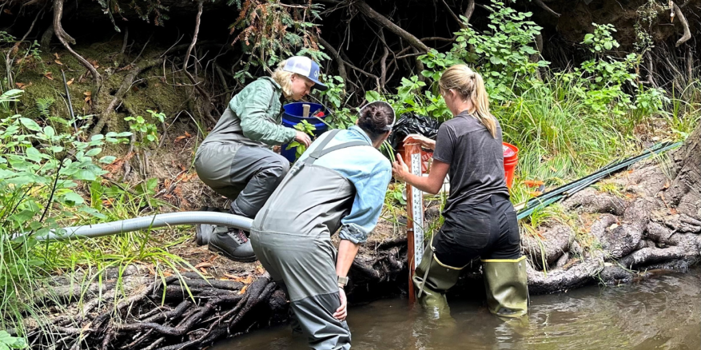 People gather around a stream gauge at the edge of a creek.