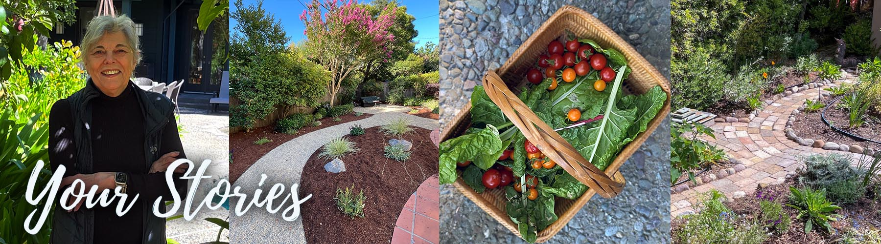 A collage of four images showing the outcome of various customer lawn transformations. The words "your stories" are superimposed on the bottom left side of the image.