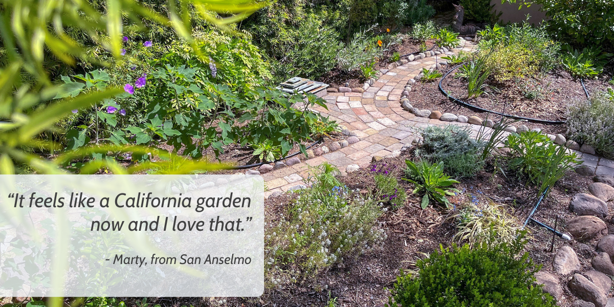 Marty’s story: Lawn replacement saves water, stokes creativity