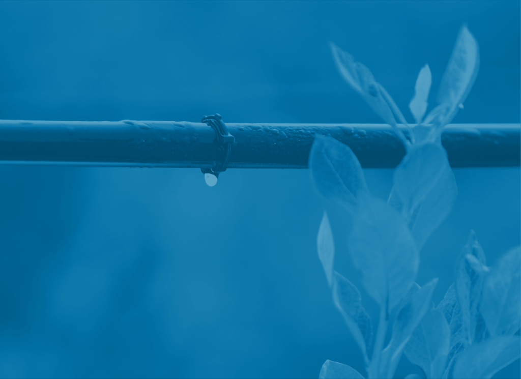 A water drop hangs below a drip irrigation line near a plant