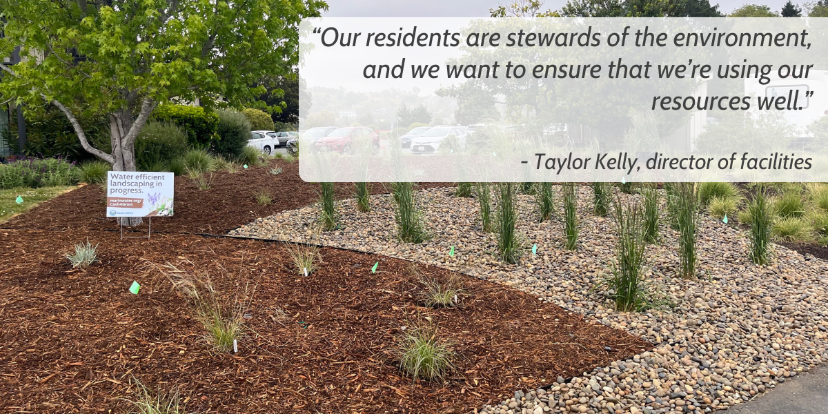 The Redwoods’ Story: Embracing change, environmental stewardship to save water