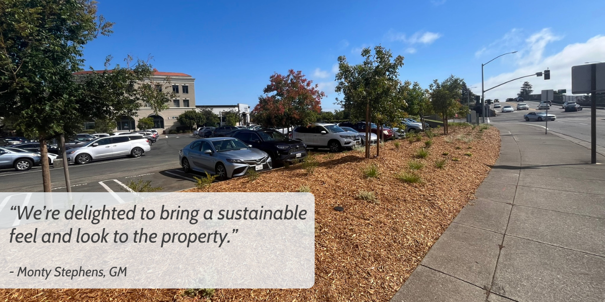 Town Center Corte Madera’s Story: Retail hub pairs building renovations with landscaping makeover