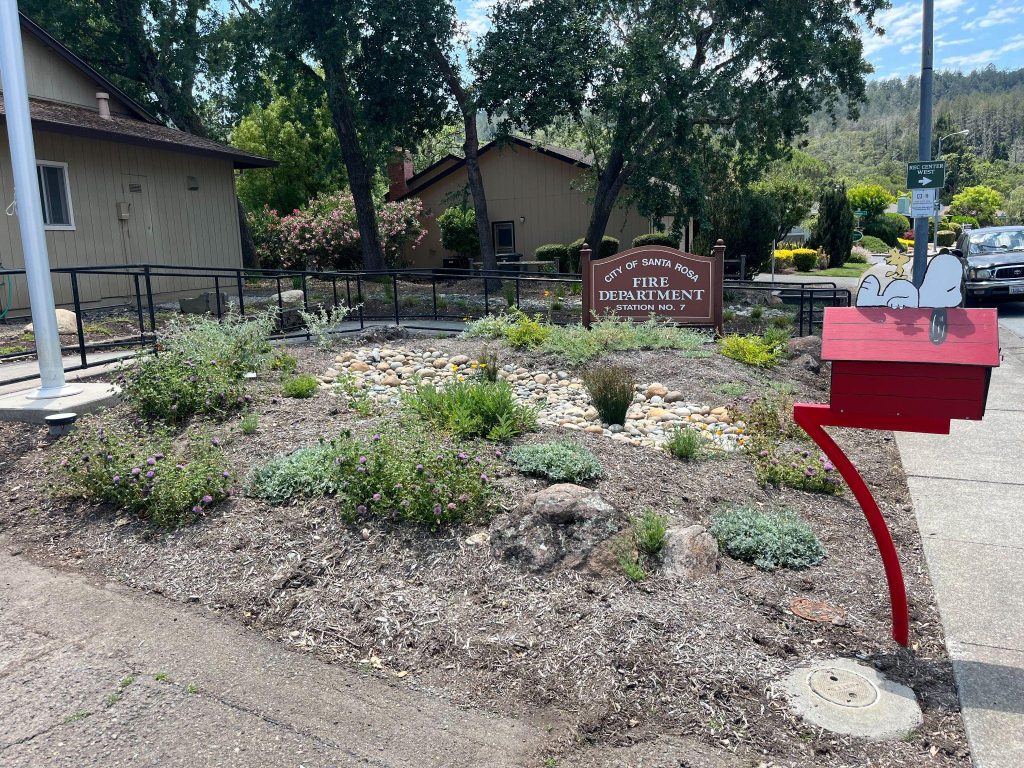 landscaping in a residential neighborhood with no grass.