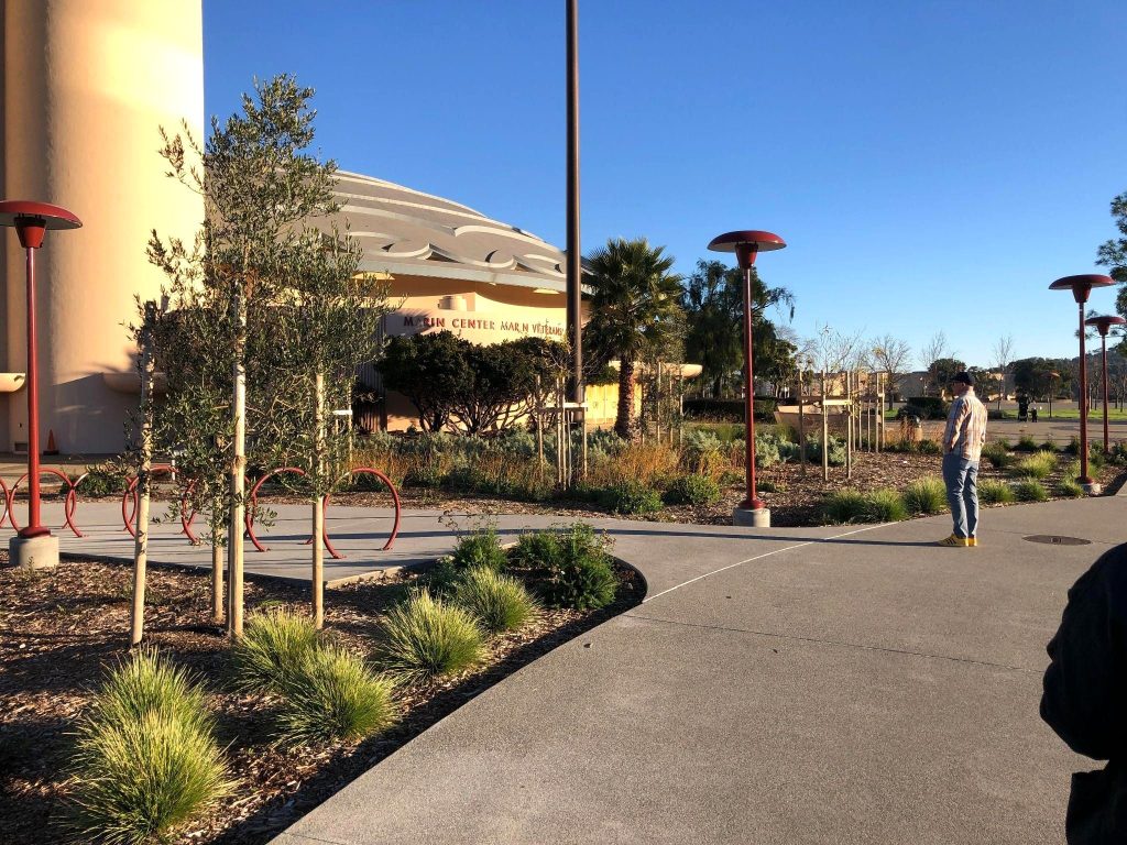 Commercial landscaping is shown with large walkways.