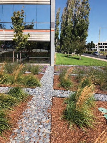 landscaping at a commercial site.