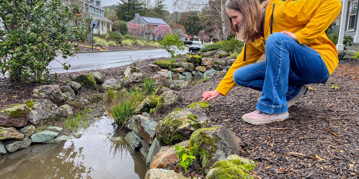 Bridget’s Story: A ‘grounding and soul-nourishing’ landscape transformation