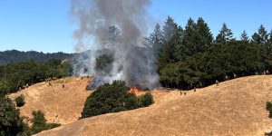Many fire fighters manage a prescribed burn on a hillside