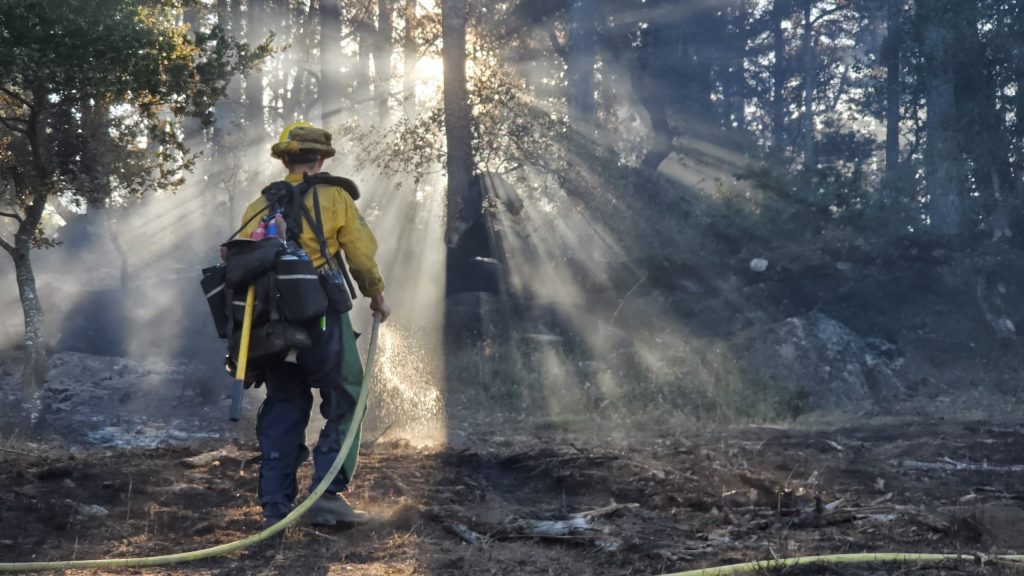 A firefighter sprays water on smoky ground as light passes through smoke-saturated trees in the forested setting of a prescribed fire. 