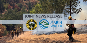 An image of fire fighters managing a prescribed burn on a hillside with a banner overlaid that reads "JOINT NEWS RELEASE" and the Marin County Fire Dept. and Marin Water logos.