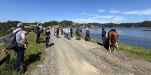 A group of people and a horse gathered on a trail next to a reservoir