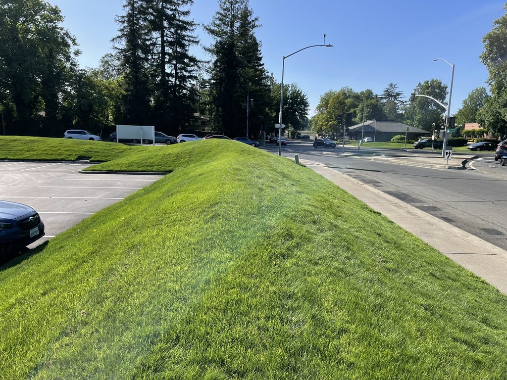 A sloped grassy area between a roadway and parking lot.